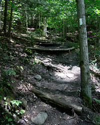 Hockley Valley Hills on Bruce Trail